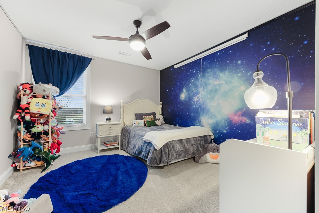 1316 Skyland Falls Boulevard Hinckley OH 44233