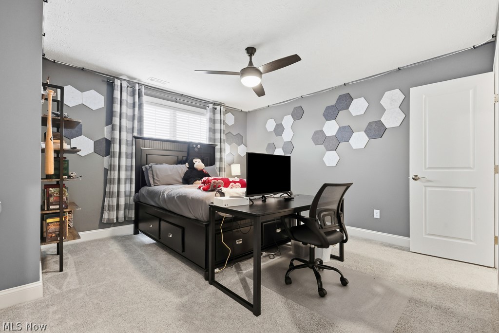 1316 Skyland Falls Boulevard Hinckley OH 44233
