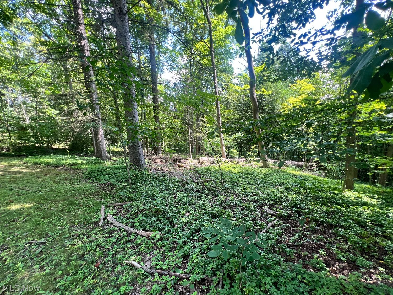 11149 Walnut Ridge Road Chesterland OH 44026