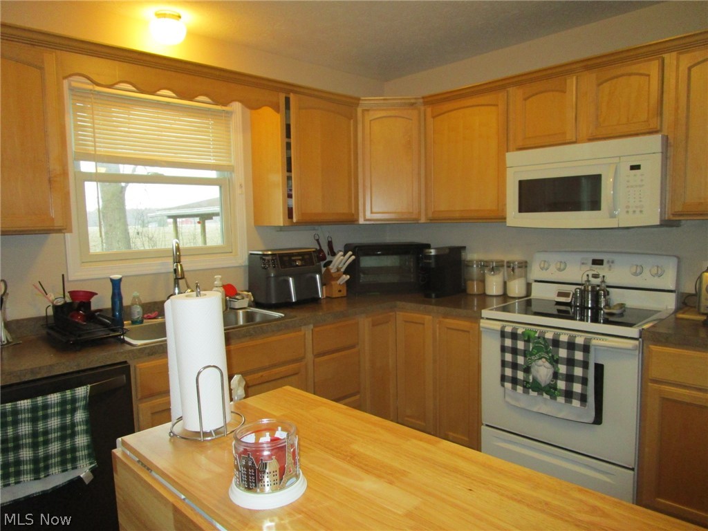 889 Long Shadow Lane Roaming Shores OH 44085
