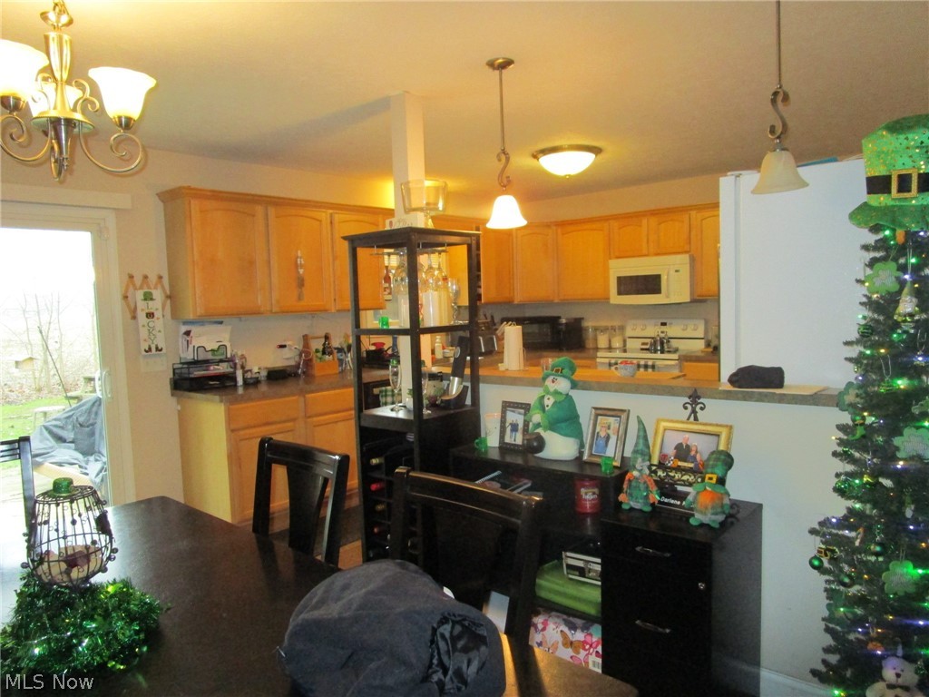 889 Long Shadow Lane Roaming Shores OH 44085