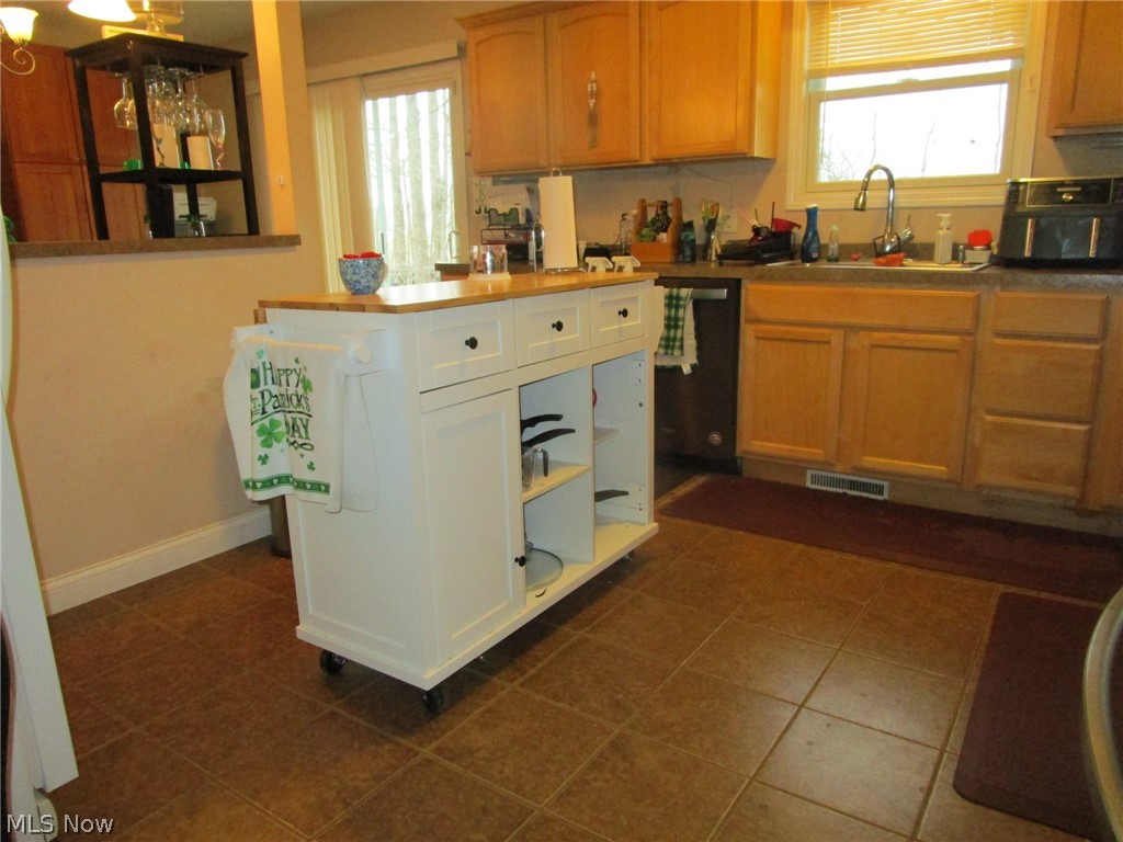 889 Long Shadow Lane Roaming Shores OH 44085