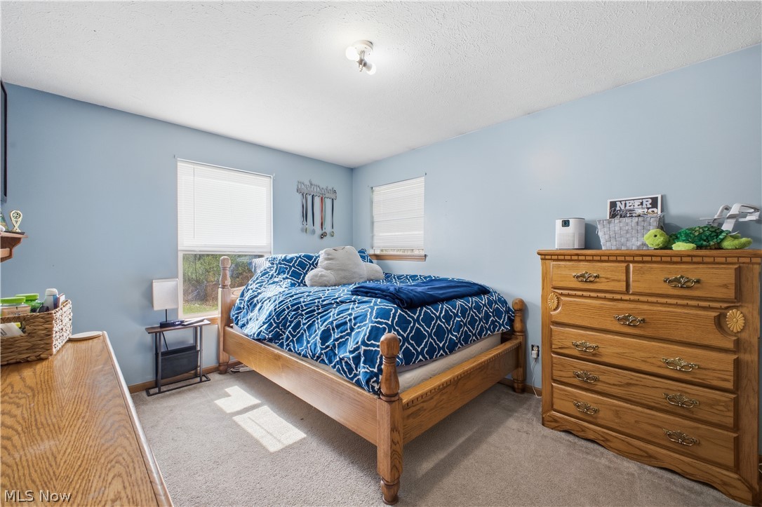 2003 Mahoning Road Deerfield OH 44411