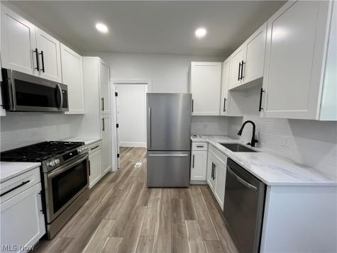 1309 W 87th Street Cleveland OH 44102