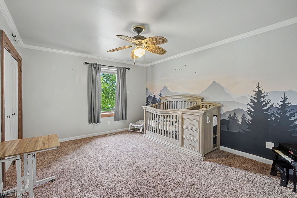 3787 Miller Road Springfield OH 45502