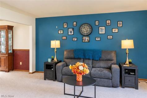 919 S Mill Street Louisville OH 44641