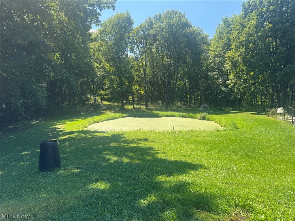 4647 Painesville Warren Road West Farmington OH 44491