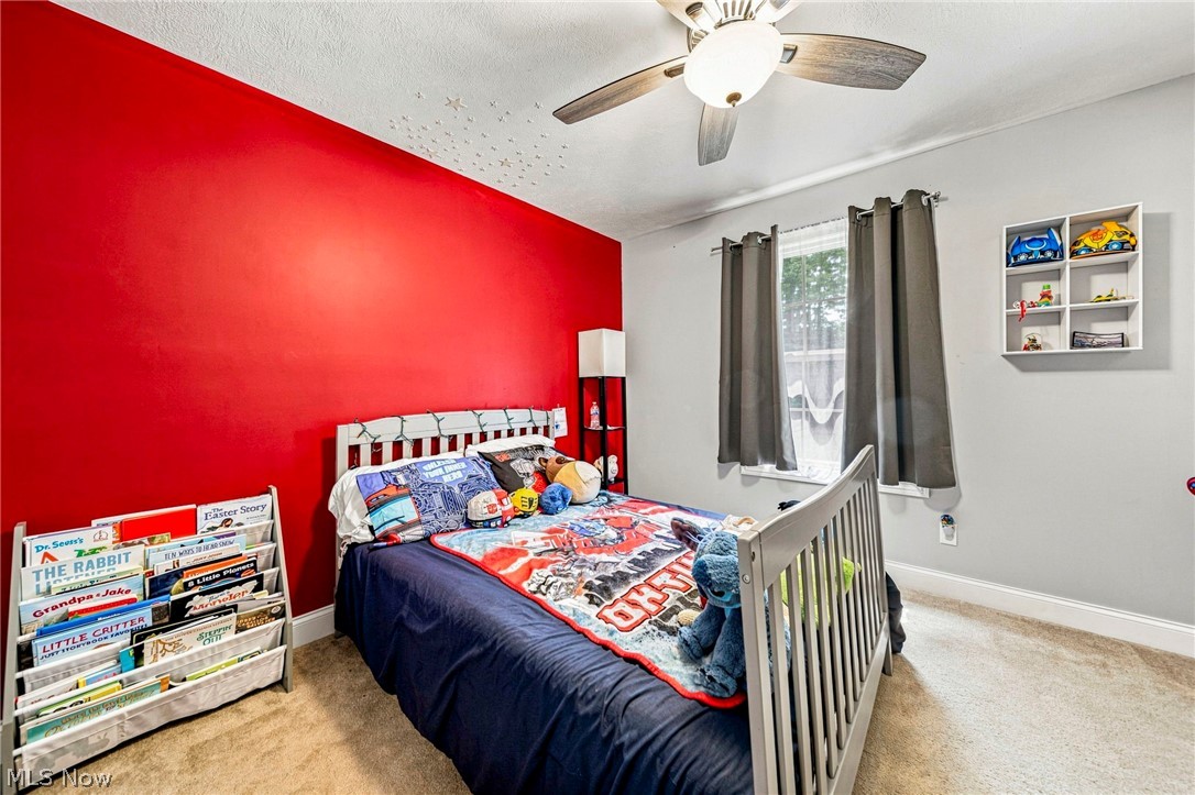 2043 N Park Lane Roaming Shores OH 44084