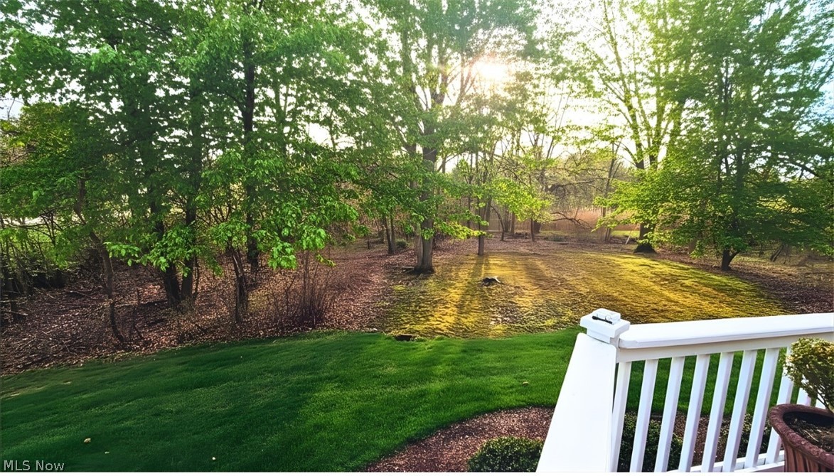 9943 Brookhill Circle Twinsburg OH 44087
