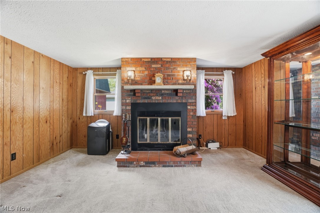 7287 Tessmer Road Williamsfield OH 44093