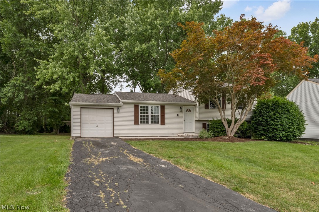 5609 Tulane Avenue Austintown OH 44515