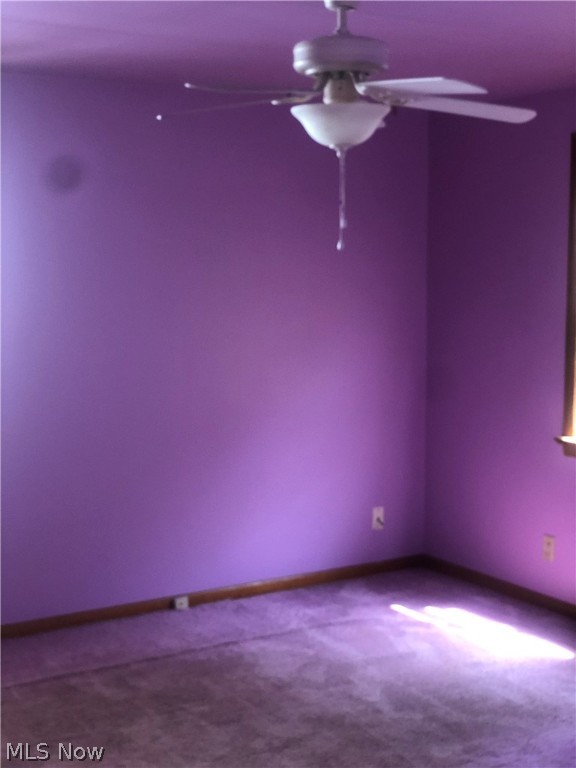 1166 Avondale Road South Euclid OH 44121