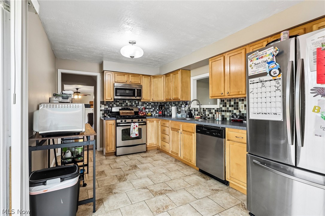 805 Roberts Street Sheffield Lake OH 44054