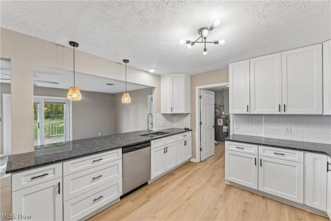 7855 Lake Road Chippewa Lake OH 44215
