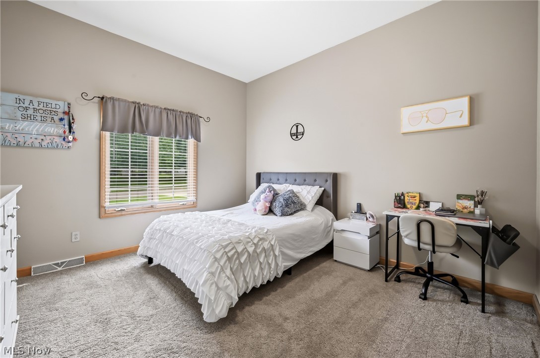 40 White Oak Court Canfield OH 44406