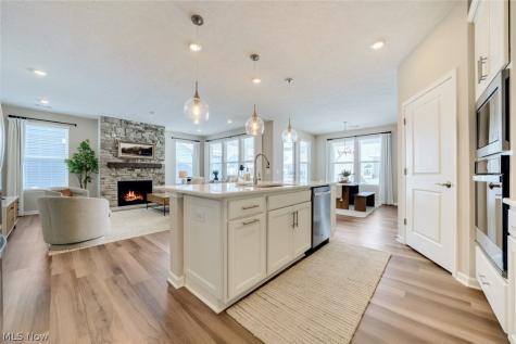 12827 Annabell Drive Columbia Station OH 44028