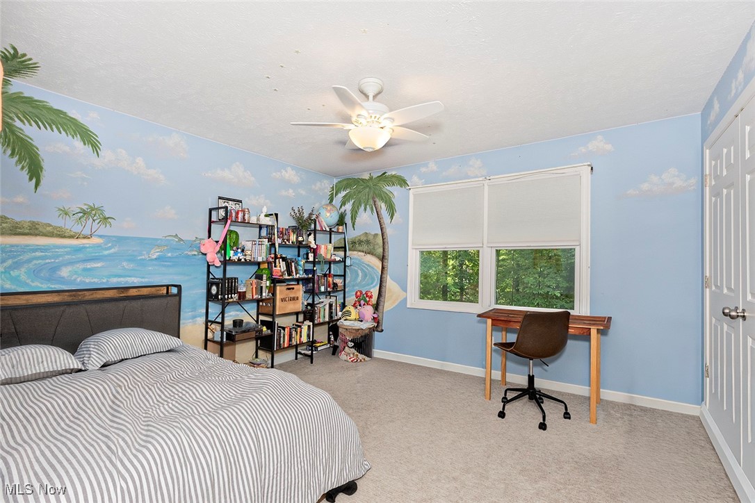 225 Linwood Lane Aurora OH 44202