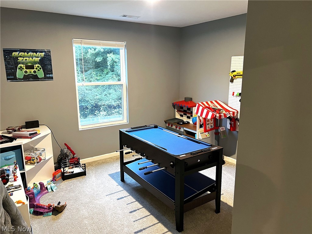 756 Hazelwood Drive Vermilion OH 44089