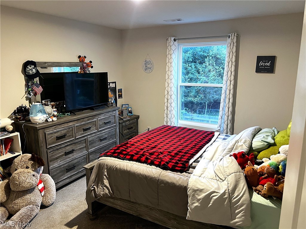 756 Hazelwood Drive Vermilion OH 44089