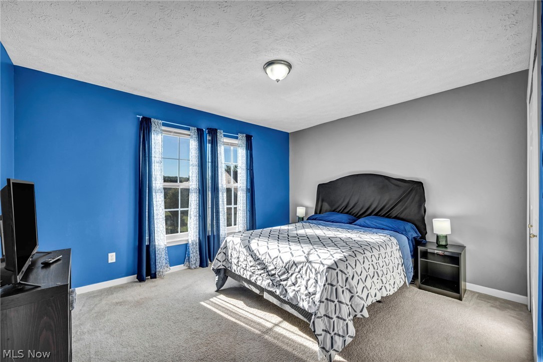 920 Alder Run Way Akron OH 44333