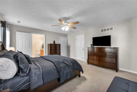 920 Alder Run Way Akron OH 44333