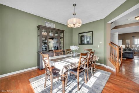 920 Alder Run Way Akron OH 44333