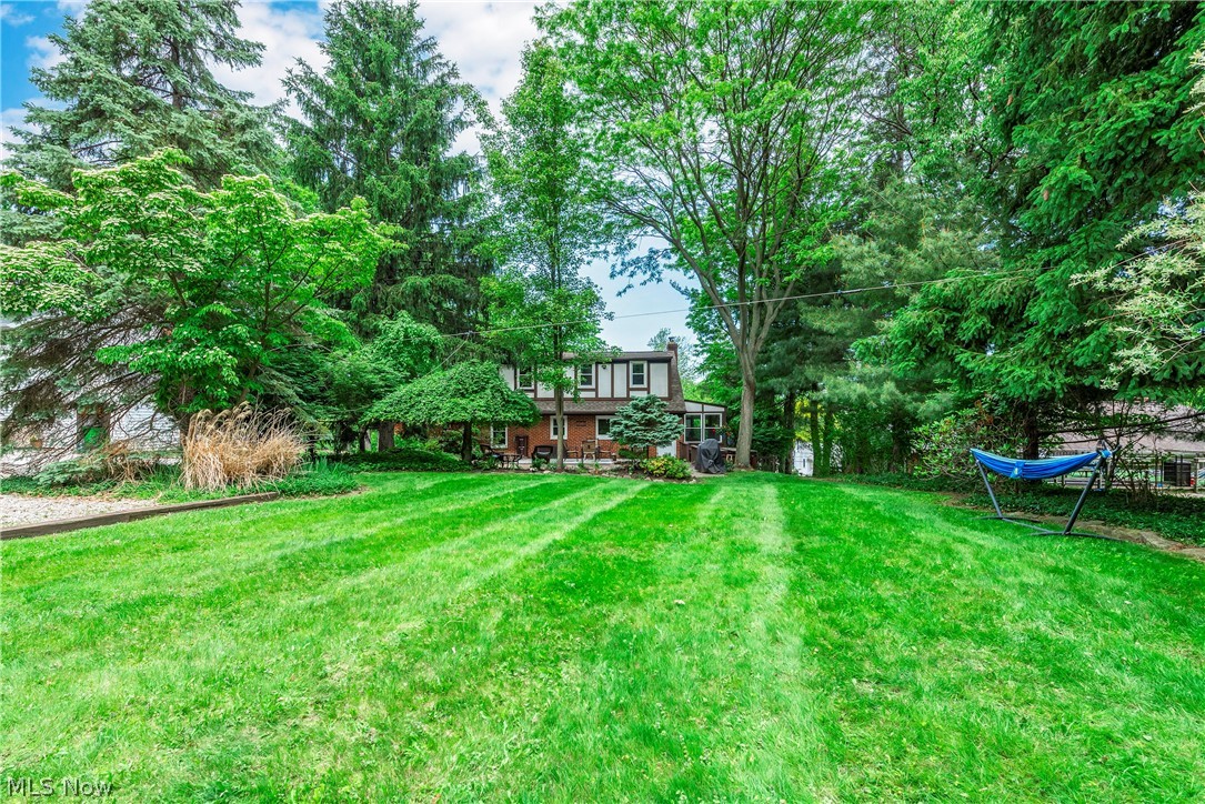 29248 Armadale Avenue Wickliffe OH 44092