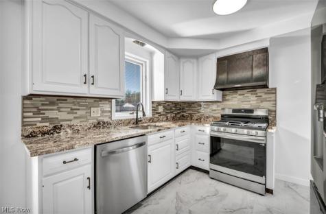 5140 Chestnut Hill Drive Willoughby OH 44094