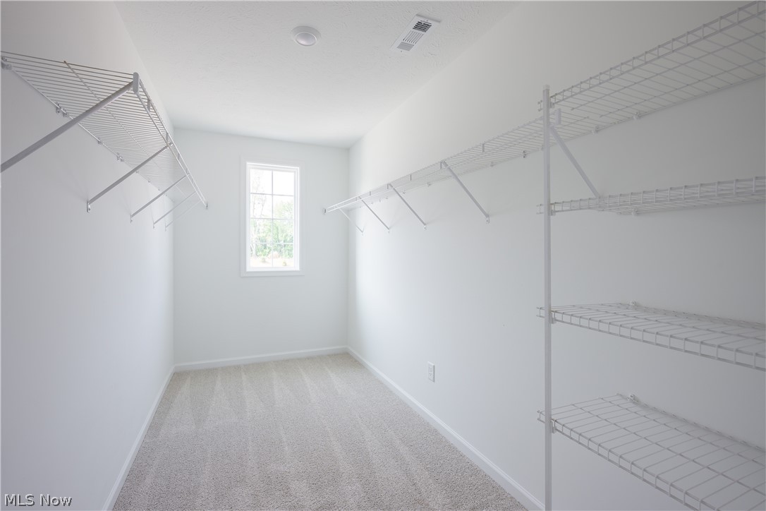 8010 Echo Hill Manor Drive Mentor OH 44060