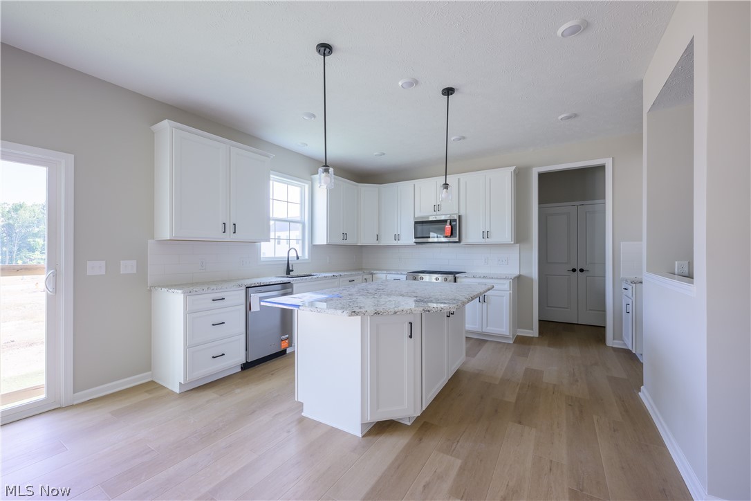 8010 Echo Hill Manor Drive Mentor OH 44060