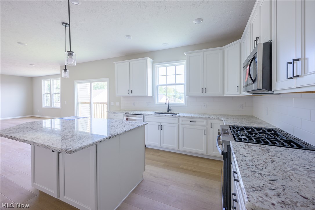 8010 Echo Hill Manor Drive Mentor OH 44060