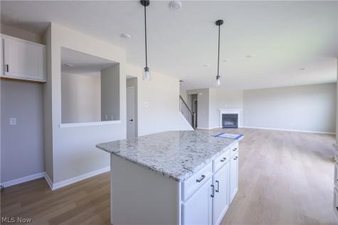 8010 Echo Hill Manor Drive Mentor OH 44060