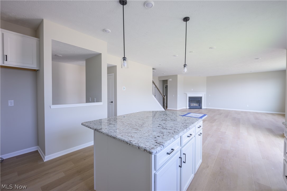 8010 Echo Hill Manor Drive Mentor OH 44060