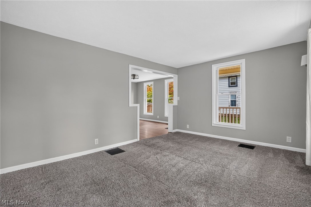 291 Vine Street Geneva OH 44041