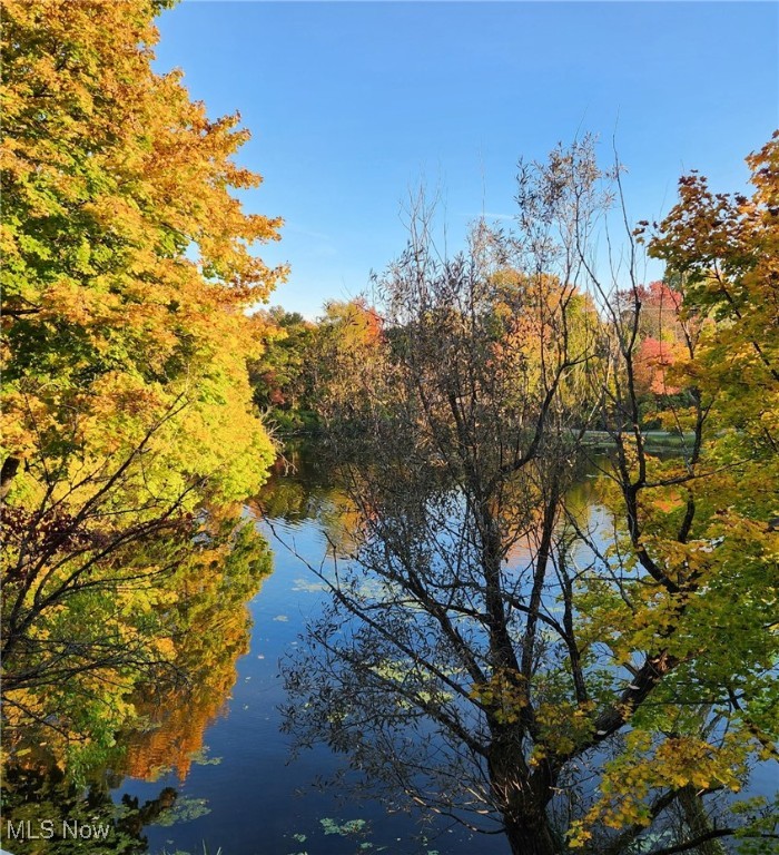 16125 Parkland Drive Shaker Heights OH 44120