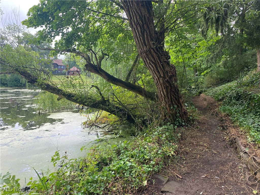 16125 Parkland Drive Shaker Heights OH 44120