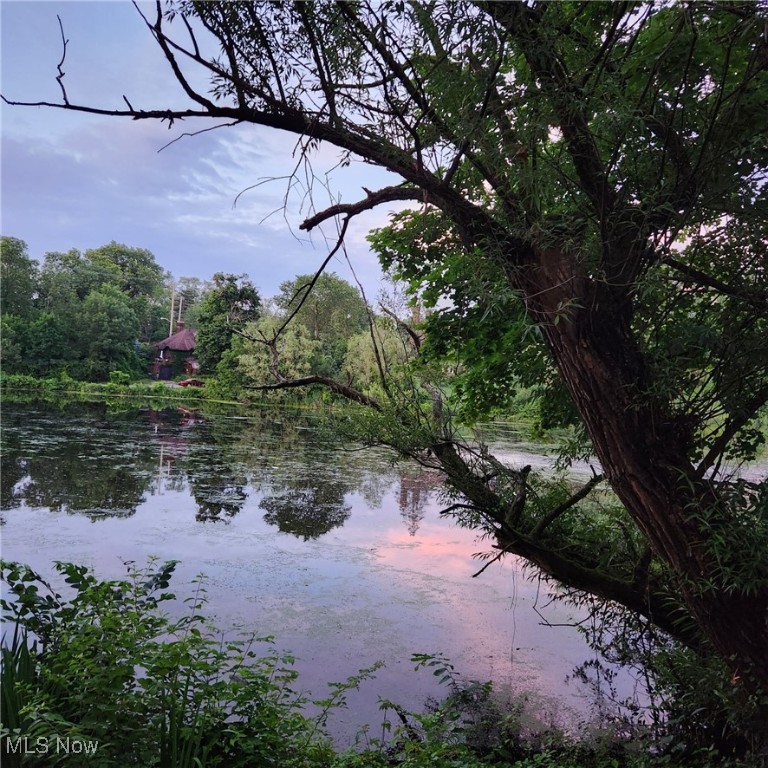 16125 Parkland Drive Shaker Heights OH 44120