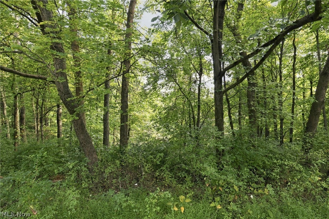 45582 Township Road 288 Conesville OH 43811