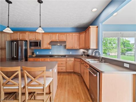 27336 Maurer Drive Olmsted Twp OH 44138