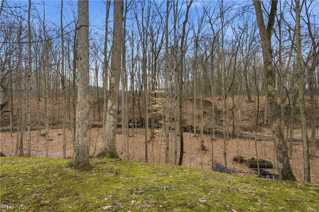 3550 New Hudson Road Orwell OH 44076
