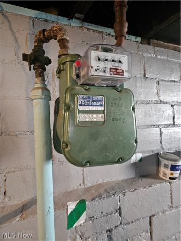 15301 Parkgrove Avenue Cleveland OH 44110