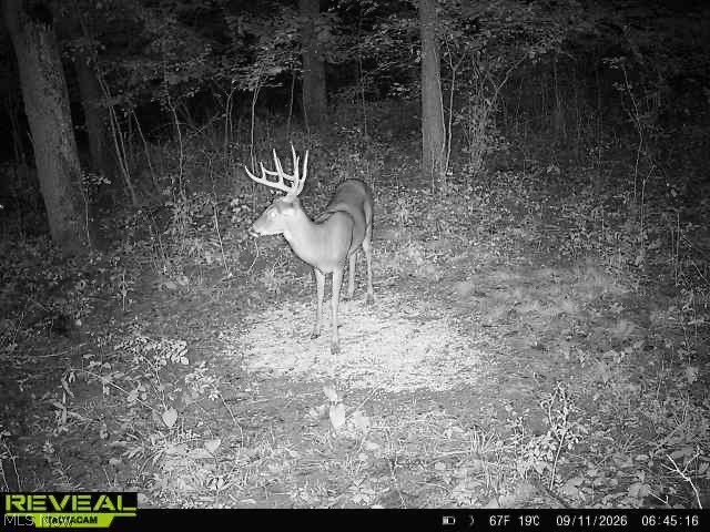600 Branch Road Zanesville OH 43701