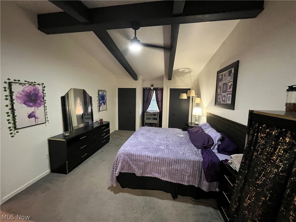 389 Tulip Trail Wadsworth OH 44281