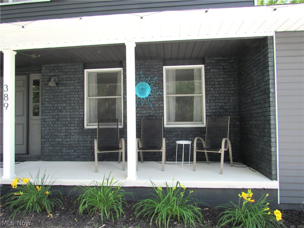 389 Tulip Trail Wadsworth OH 44281