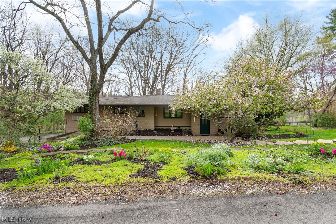 1 Wimpole Street Wooster OH 44691