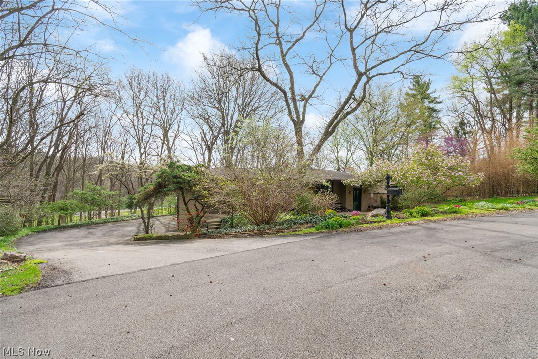 1 Wimpole Street Wooster OH 44691