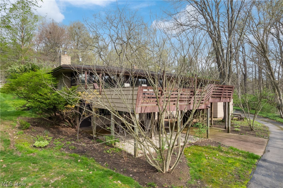 1 Wimpole Street Wooster OH 44691