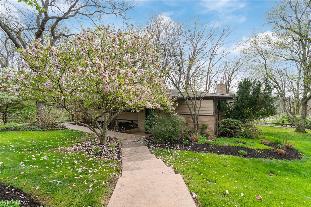 1 Wimpole Street Wooster OH 44691