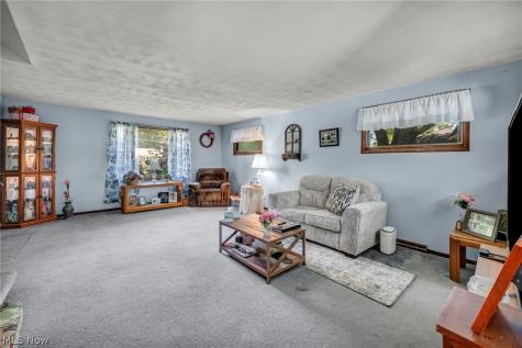 4005 Selnik Road Kent OH 44240