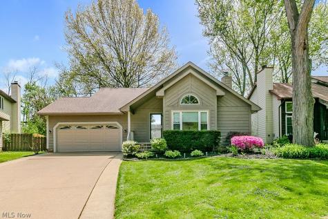 4126 Amelia Avenue Willoughby OH 44094